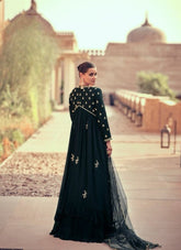 Fantastic Design Embroidered Black Gown